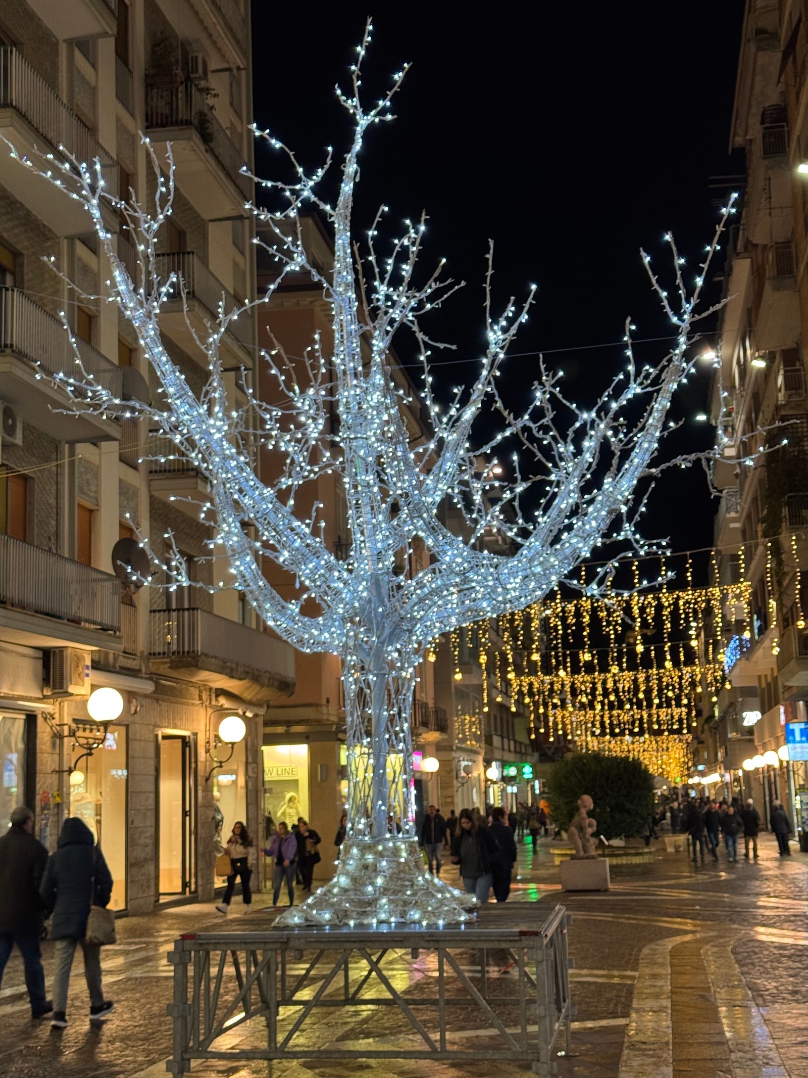 Dettaglio luminarie 2025